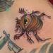 Tattoos - Eye beetle tattoo collar bone  - 67603